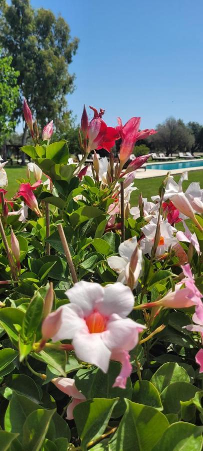 Terre Di Vendicari Country house